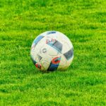 The Tactical Chess Match: How Scaloni Plans to Outmaneuver Tuchel at Wembley