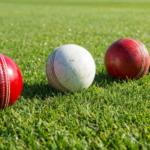 Cricket balls in various colors lying on green grass during a sunny day.
