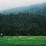 Cricketers playing in a lush green field surrounded by a forest in Sylhet, Bangladesh.