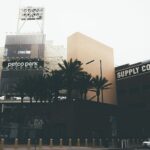 Cityscape featuring Petco Park, palm trees, and urban architecture in San Diego.