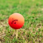 Close-up of an orange golf ball on freshly cut grass, ready for a tee-off.