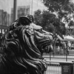 Lion statue in black and white on a bustling street in Hong Kong Island, capturing urban essence.