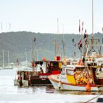 Colorful fishing boats docked in Saint George's, Grenada with lush green hills in the background.