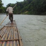 Man navigating a bamboo raft on the Rio Grande River in the lush landscape of Portland Parish, Jamaica.