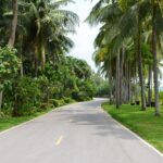 A tranquil road lined with palm trees and lush greenery in Thong Chai, Thailand.