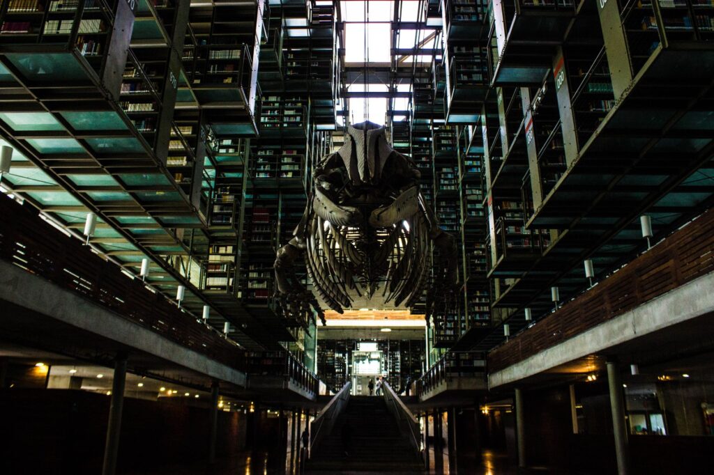 Interior view of Biblioteca Vasconcelos featuring a striking whale skeleton and innovative shelving design.