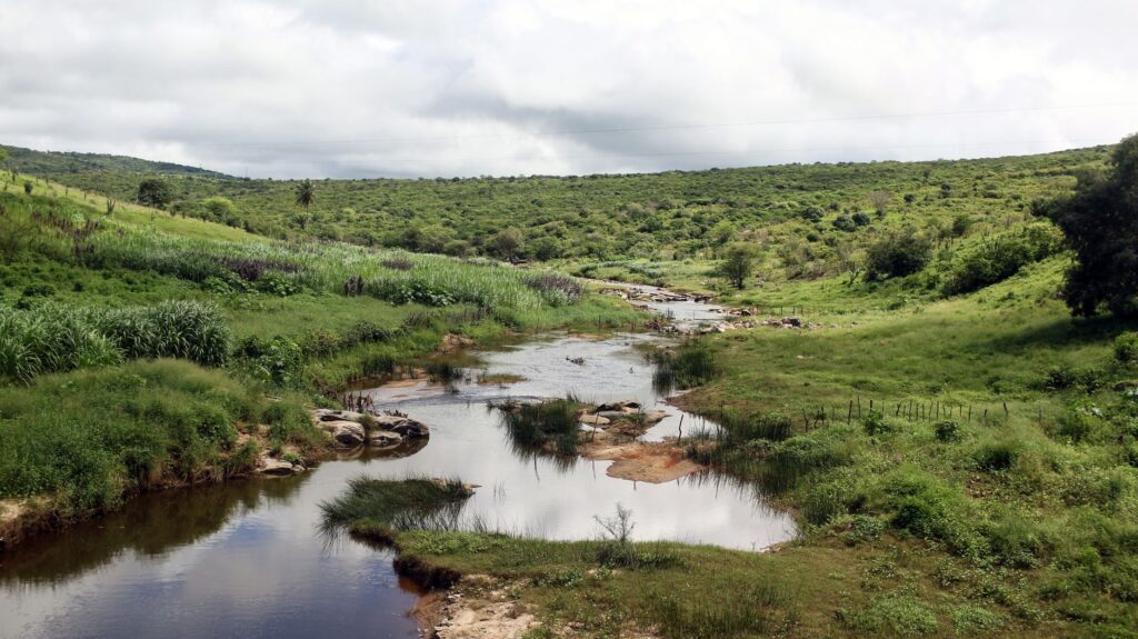 Picturesque view of a river flowing through lush greenery in Rio Grande do Norte, Brazil.