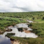 Picturesque view of a river flowing through lush greenery in Rio Grande do Norte, Brazil.