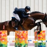 A skilled rider and horse in mid-jump at an outdoor equestrian competition.
