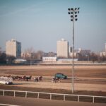 Horse racing on a sunny day at the Budapest race track, Hungary, with city backdrop.