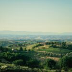 Picturesque view of Tuscany's rolling hills, vineyards, and Italian villas under a clear summer sky.