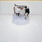 Top view of two ice hockey goalies in gear, standing in front of the net on an indoor rink during practice.