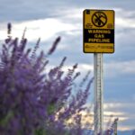 A caution sign for gas pipeline amidst a field of blooming lavender with cloudy skies.