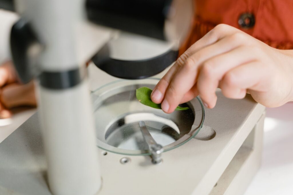 A close-up shot showing a hand placing a leaf under a microscope for scientific study.