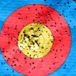 Vibrant archery target showcasing accuracy with multiple hits across colored rings.
