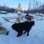 Two children enjoy the snowy outdoors with sled dogs in a winter landscape.
