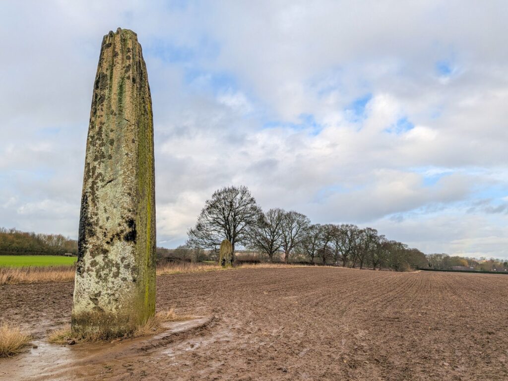 Neolithic standing stones in a rural field in Boroughbridge, England under a cloudy winter sky.