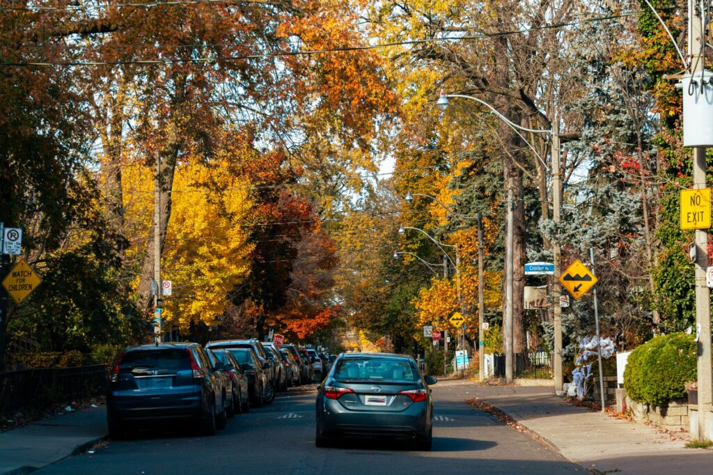 Vibrant fall colors line a street in Toronto, showcasing autumn's beauty.