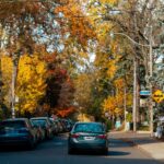 Vibrant fall colors line a street in Toronto, showcasing autumn's beauty.