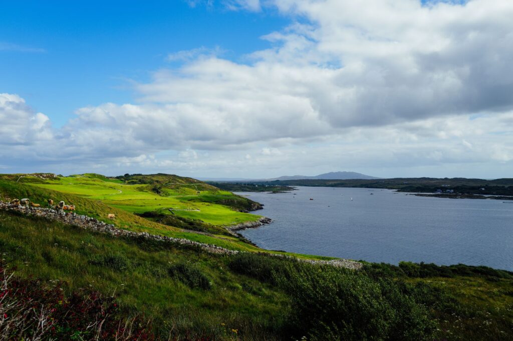 Beautiful coastal landscape in Ireland with rolling green hills and a calm blue sea under a cloudy sky.