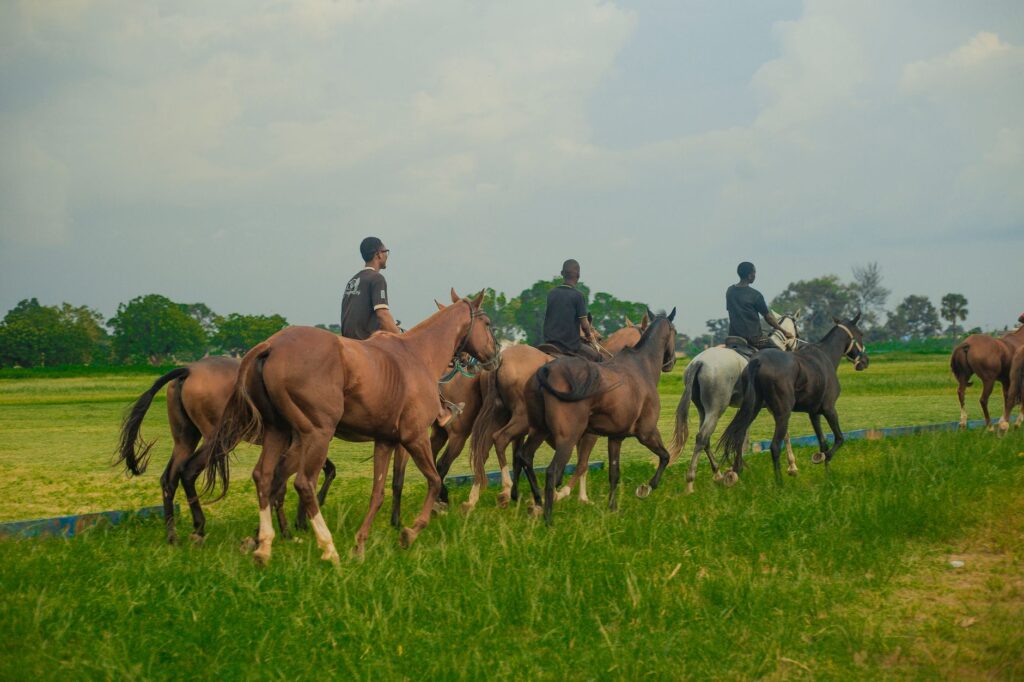 Group of horseback riders and horses moving across a vibrant green pasture.