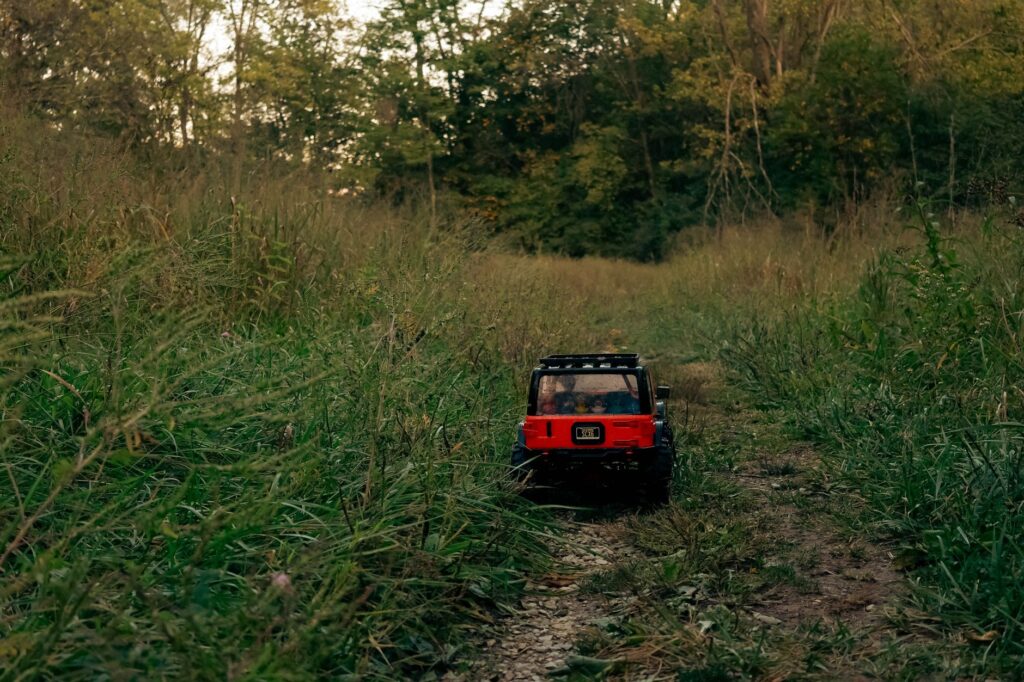 A red toy car on a narrow forest path, surrounded by dense grass and trees during dusk.