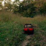 A red toy car on a narrow forest path, surrounded by dense grass and trees during dusk.