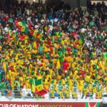 Vibrant crowd of football fans showing enthusiasm during Africa Cup of Nations match.