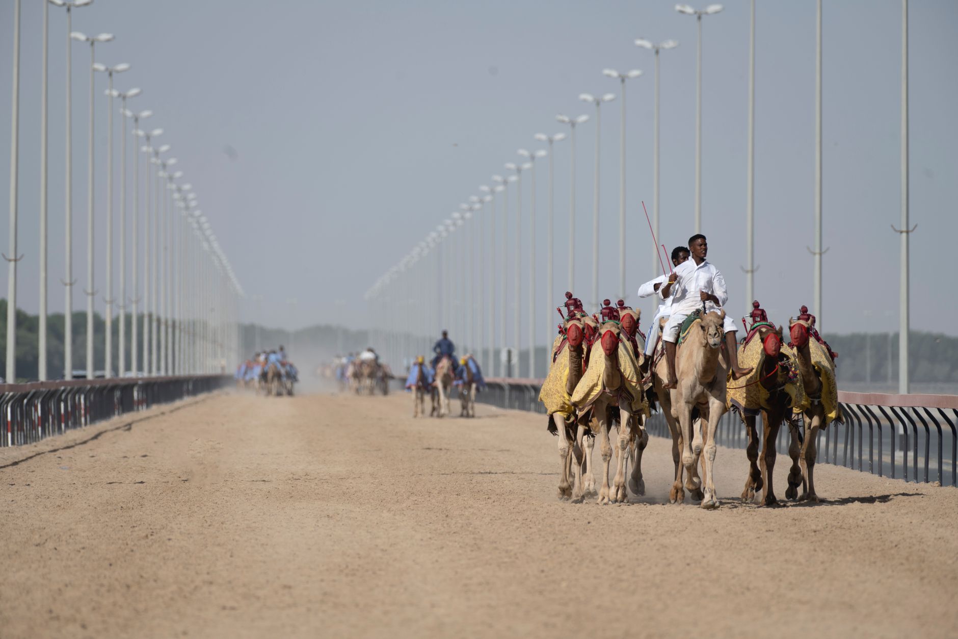 Exciting camel race on a sandy track in Dubai, showcasing Arabian culture and tradition.