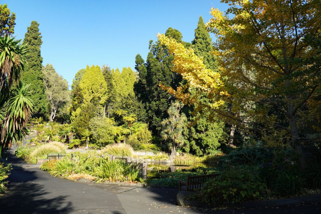 Serene view of lush greenery in Hobart's Royal Tasmanian Botanical Gardens on a sunny day.