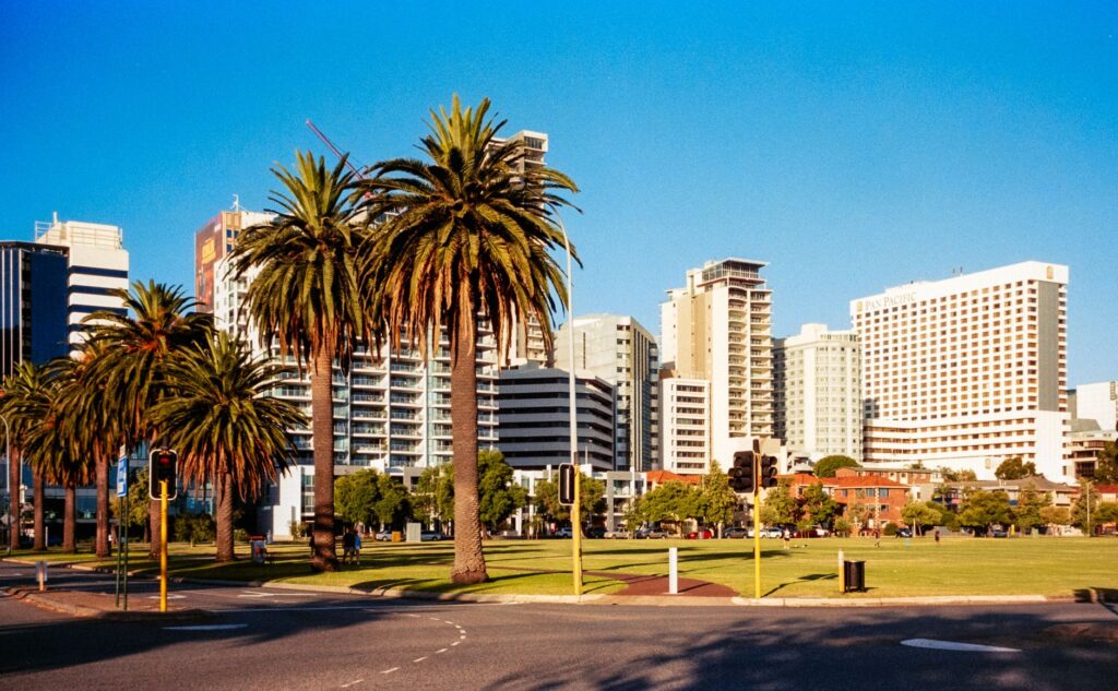 Sunny view of high-rise buildings and palm trees in Perth, Australia.