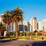 Sunny view of high-rise buildings and palm trees in Perth, Australia.