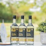 Three bottles of Explorers Gin elegantly displayed outdoors alongside a potted plant.