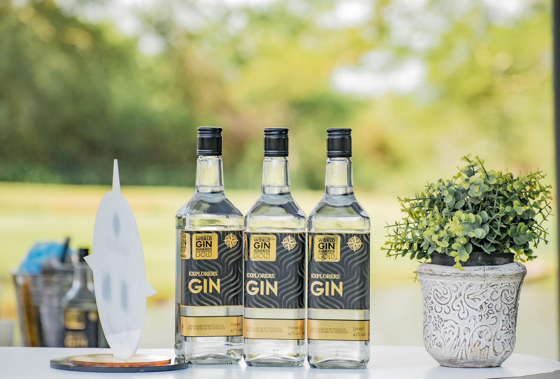 Three bottles of Explorers Gin elegantly displayed outdoors alongside a potted plant.