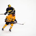 Two male ice hockey players in action on the rink, showcasing skill and teamwork.